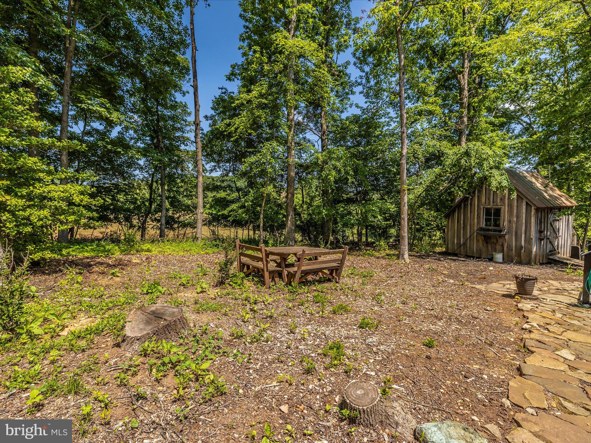 5085 Fleming Road Mount Airy, MD 21771 - Photo 51 of 73 Lots of privacy!