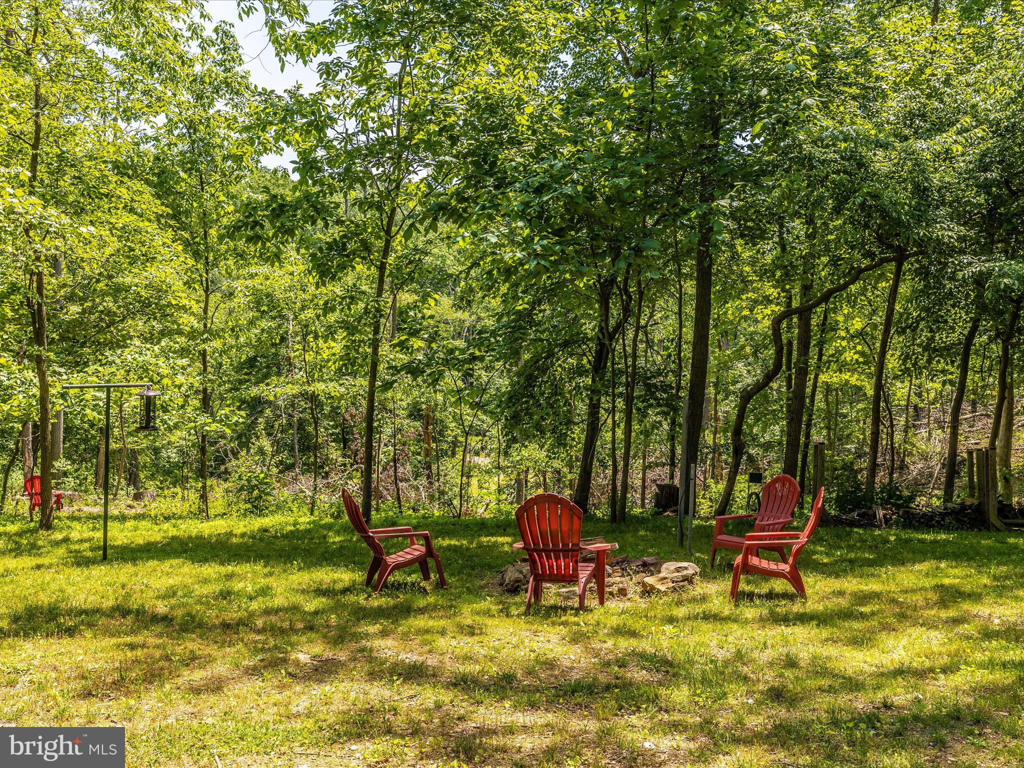 5085 Fleming Road Mount Airy, MD 21771 - Photo 58 of 73 Lots of privacy!