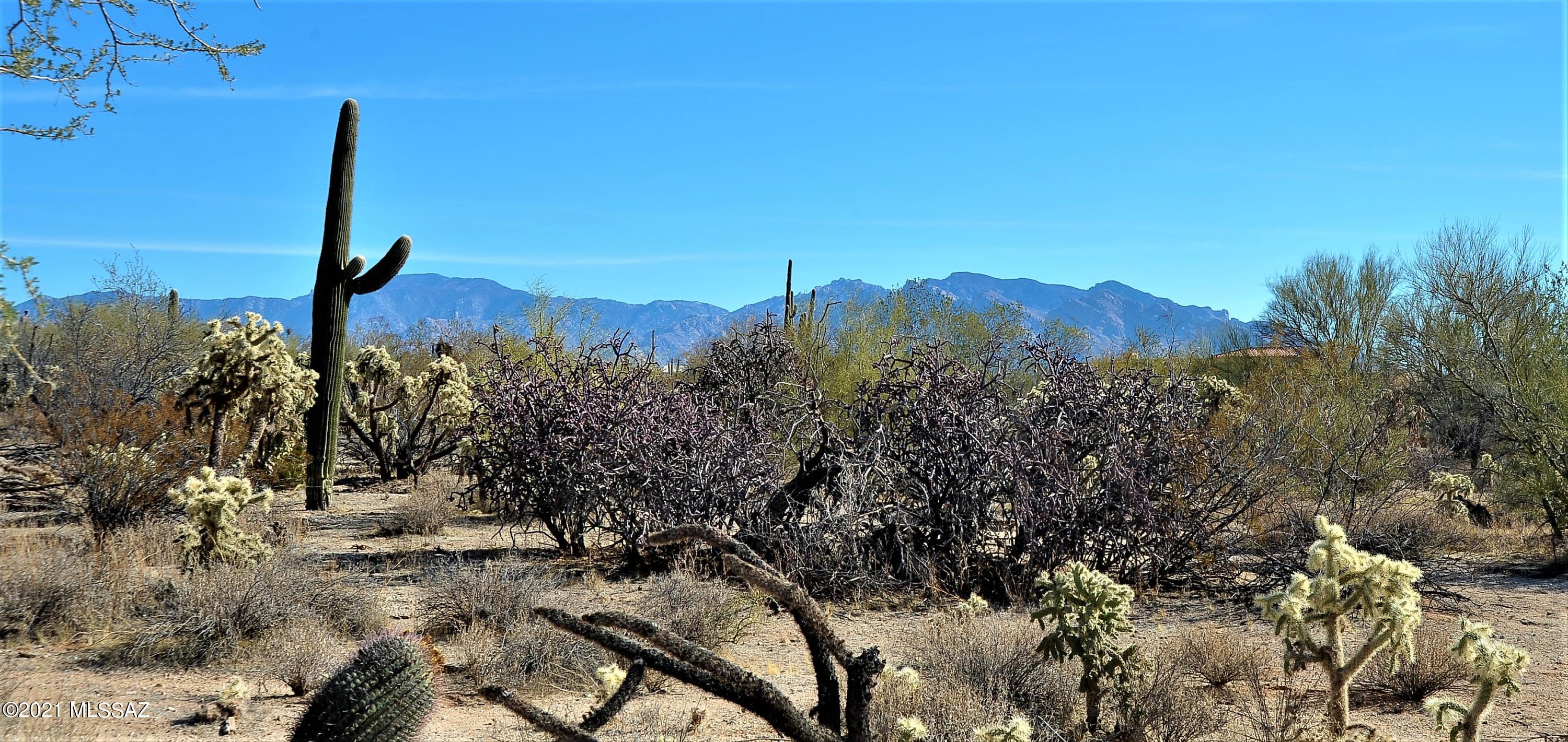 4720 West Oasis Road Tucson, AZ 85742 - Photo 9 of 42 Gallery Image 9