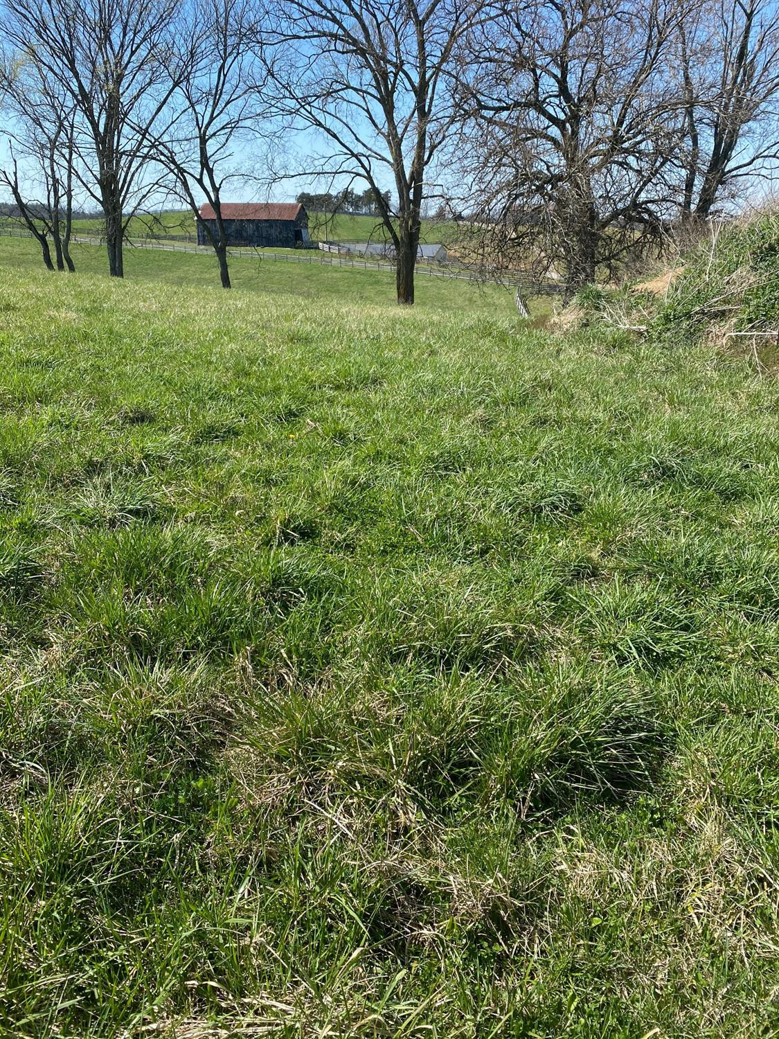 3450 Cane Ridge Road Paris, KY 40361 - Photo 56 of 72 Photo 56
