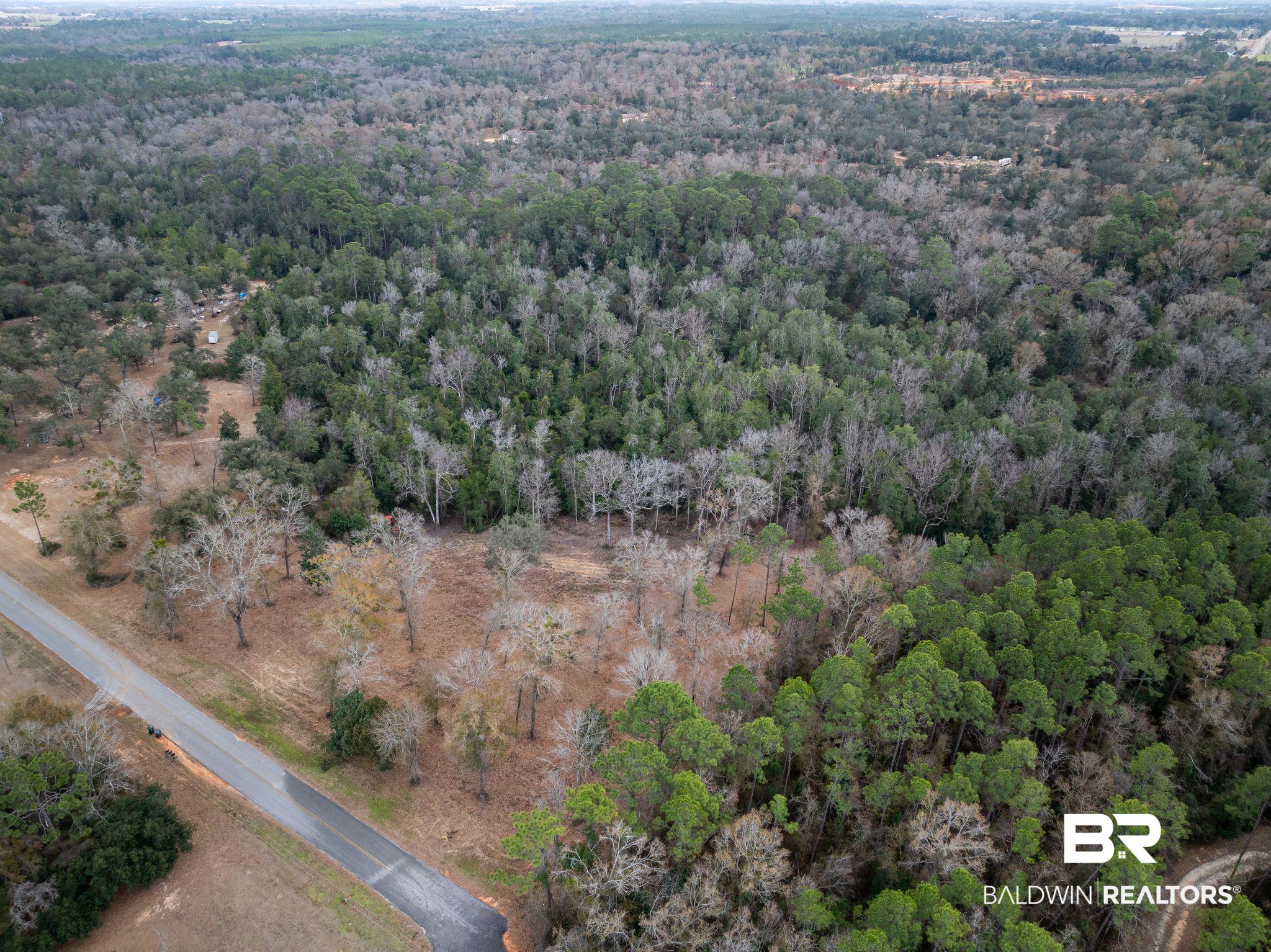 0 Holston Lane South Silverhill, AL 36576 - Photo 8 of 16