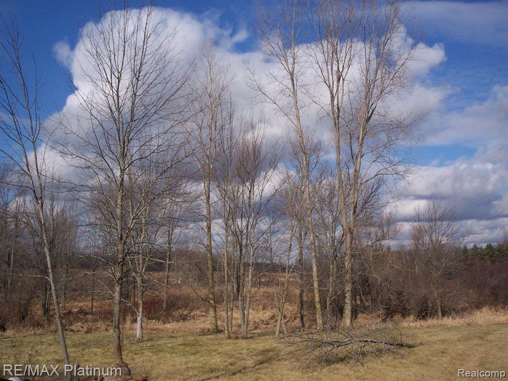14440 South Nohel Road Perry, MI 48872 - Photo 5 of 25 BREATH-THIS