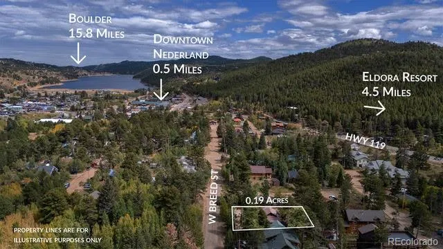a view of a house with a small yard plants and large tree
