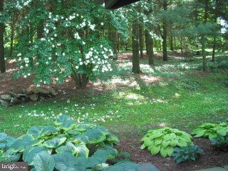 88 Covered Bridge Road Pequea, PA 17565 - Photo 12 of 16