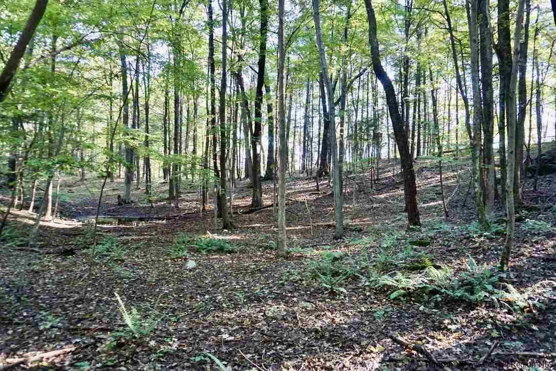 4 Arrowhead Rdg Road Saugerties, NY 12477 - Photo 1 of 26 Photo 1