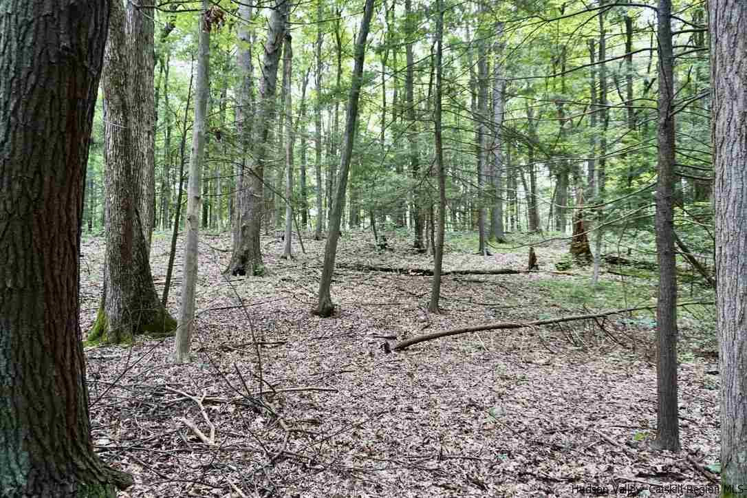 4 Arrowhead Rdg Road Saugerties, NY 12477 - Photo 11 of 26 Photo 11