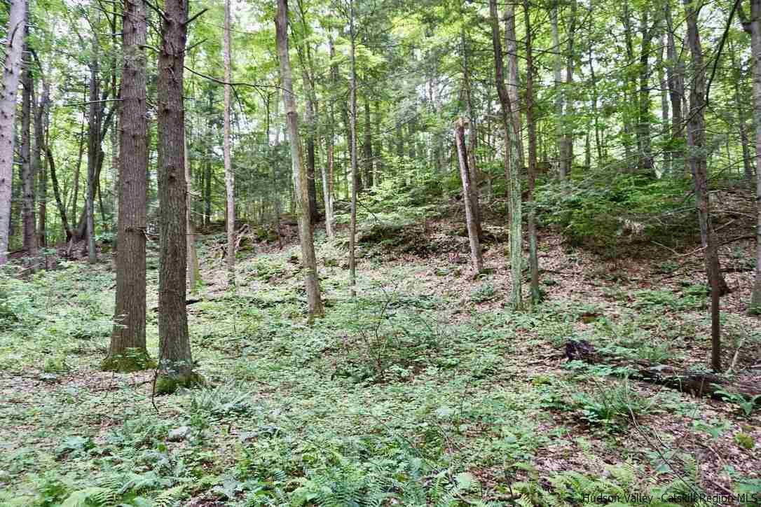 4 Arrowhead Rdg Road Saugerties, NY 12477 - Photo 12 of 26 Photo 12