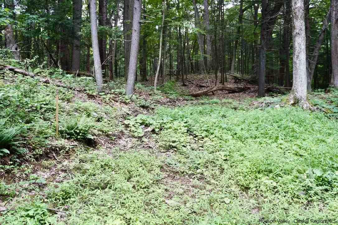 4 Arrowhead Rdg Road Saugerties, NY 12477 - Photo 13 of 26 Photo 13