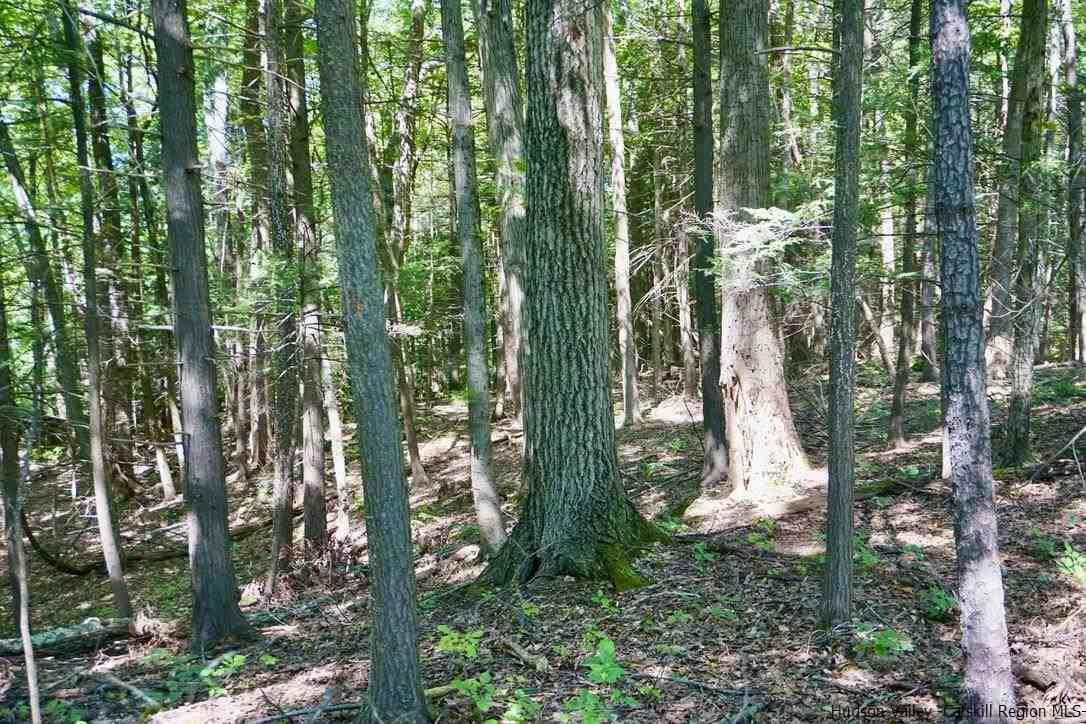 4 Arrowhead Rdg Road Saugerties, NY 12477 - Photo 14 of 26 Photo 14