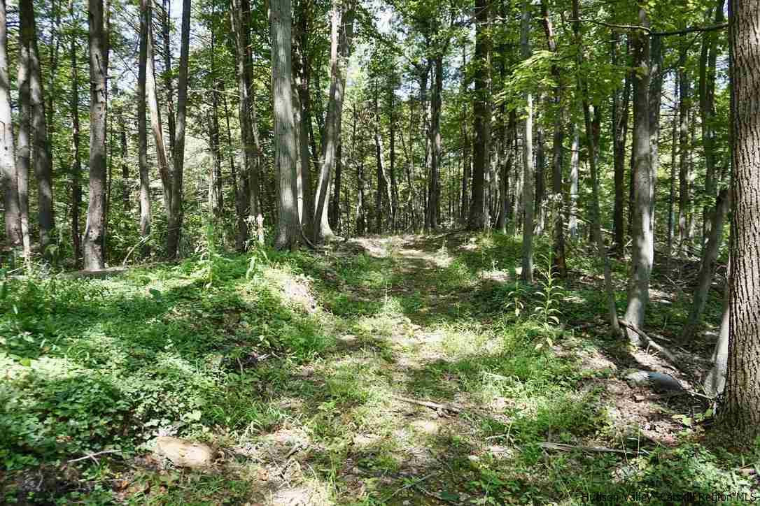 4 Arrowhead Rdg Road Saugerties, NY 12477 - Photo 15 of 26 Photo 15