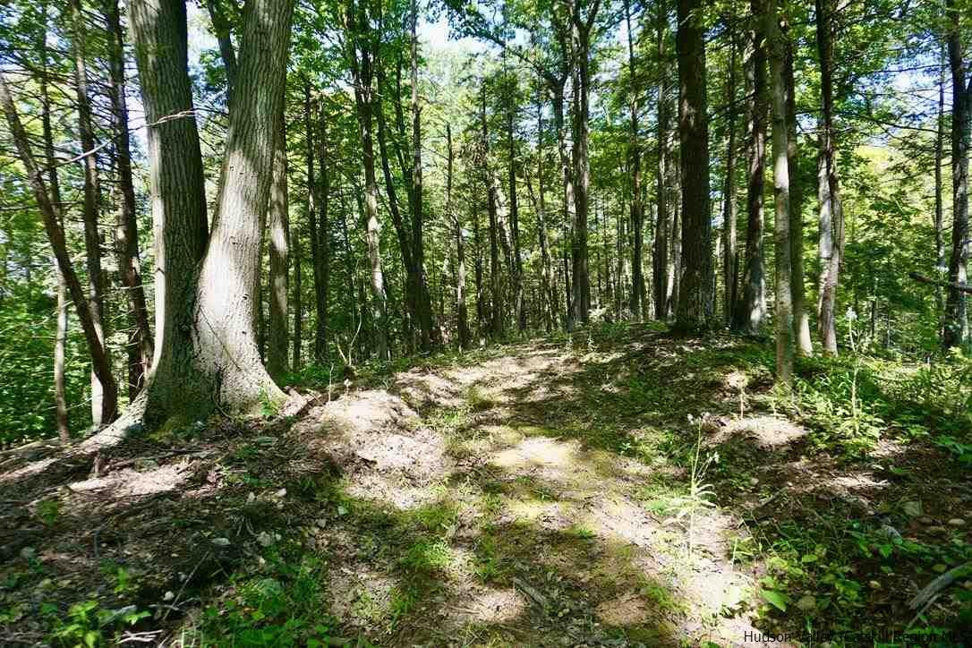 4 Arrowhead Rdg Road Saugerties, NY 12477 - Photo 17 of 26 Photo 17