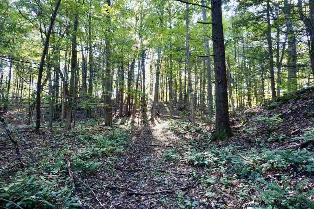 4 Arrowhead Rdg Road Saugerties, NY 12477 - Photo 18 of 26 Photo 18