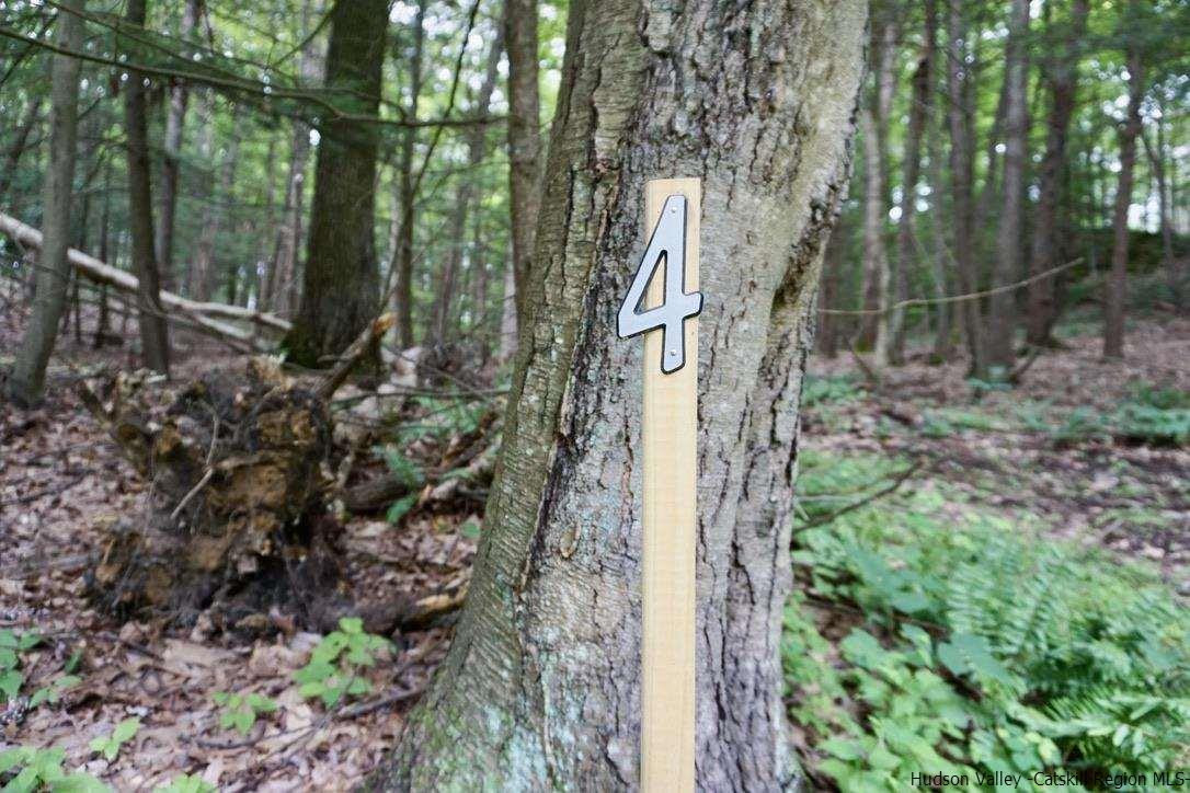 4 Arrowhead Rdg Road Saugerties, NY 12477 - Photo 7 of 26 Photo 7