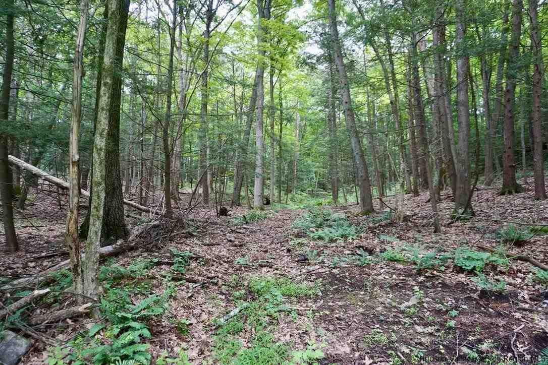 4 Arrowhead Rdg Road Saugerties, NY 12477 - Photo 8 of 26 Photo 8