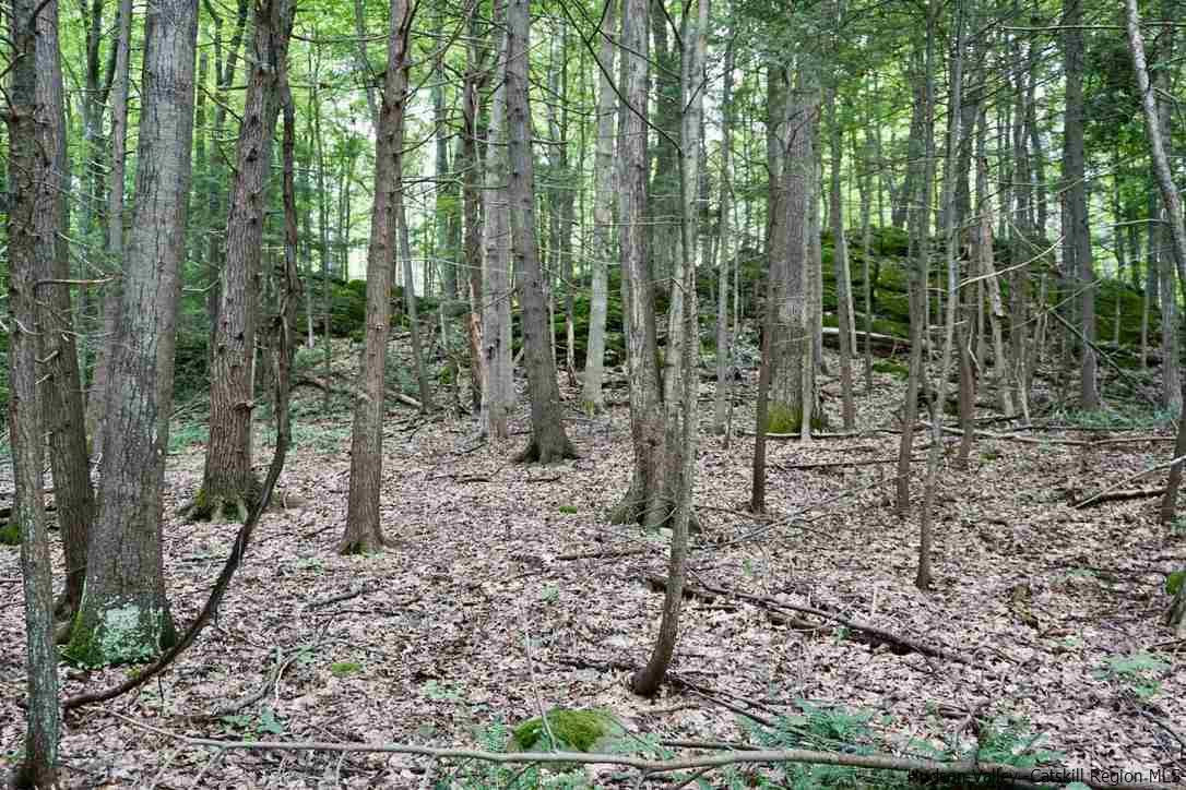 4 Arrowhead Rdg Road Saugerties, NY 12477 - Photo 9 of 26 Photo 9