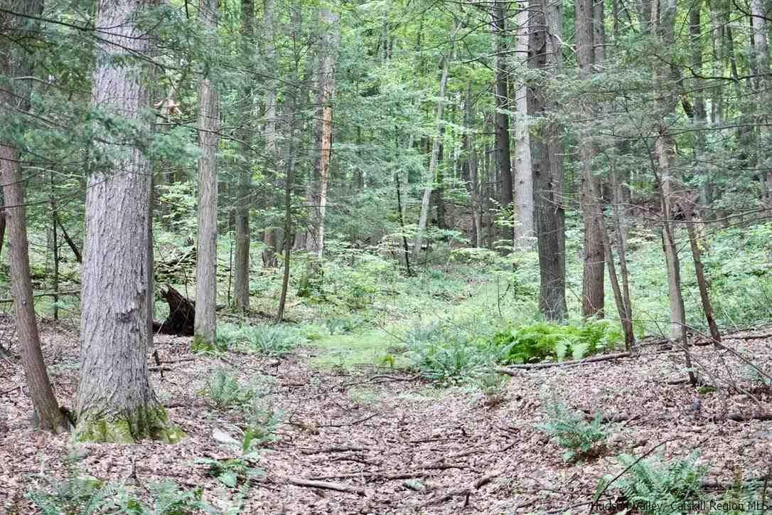 4 Arrowhead Rdg Road Saugerties, NY 12477 - Photo 10 of 26 Photo 10