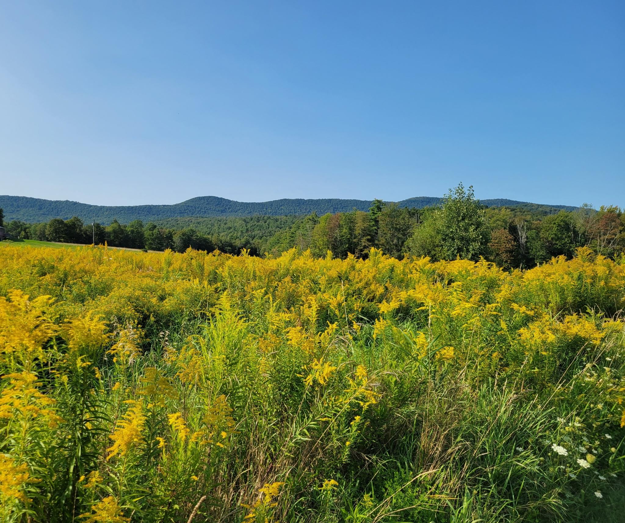 133 Baltimore Road Springfield, VT 05150 - Photo 50 of 53