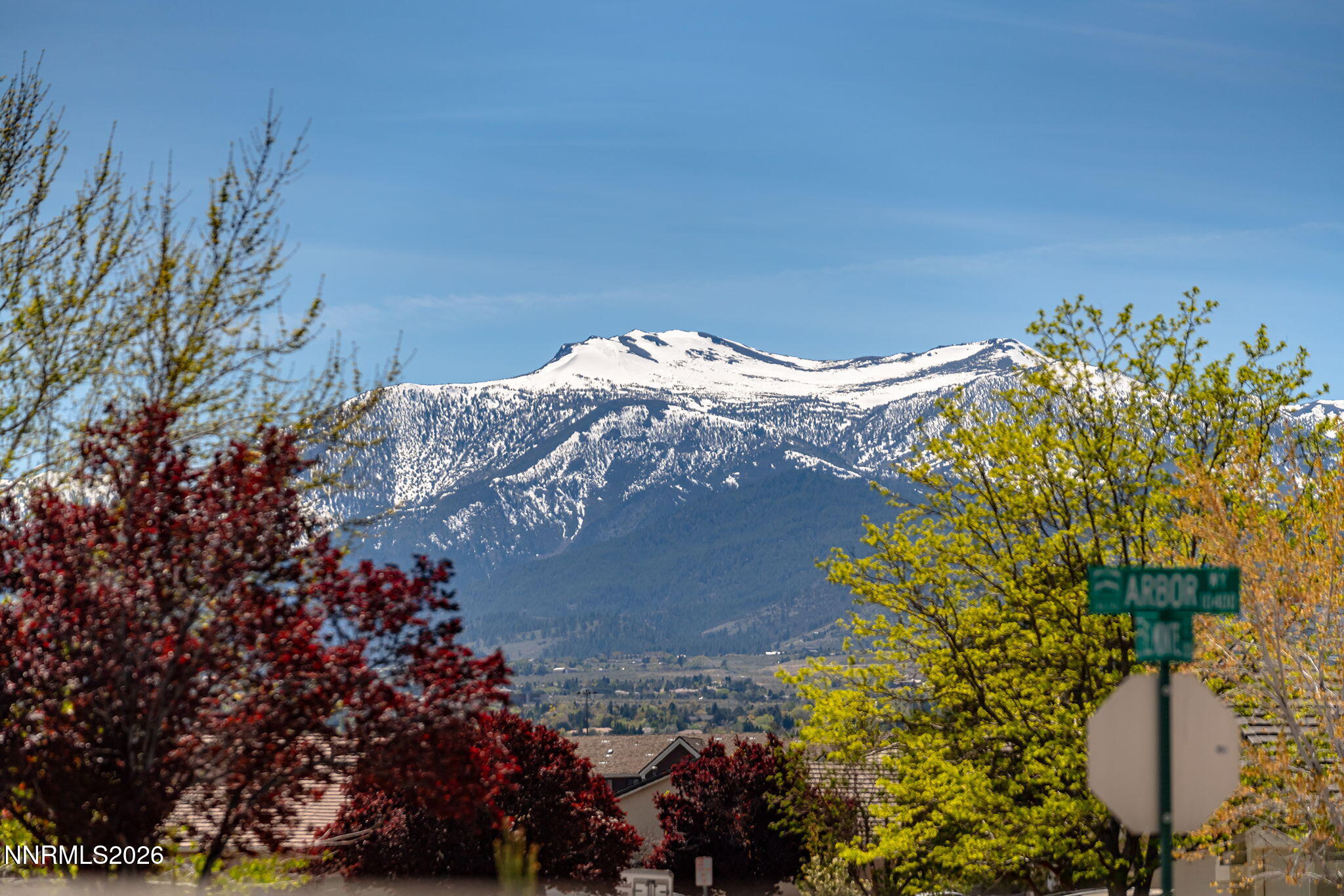 1315 Dalwood Court Reno, NV 89521 - Photo 17 of 17 36-web-or-mls-_DSC1967