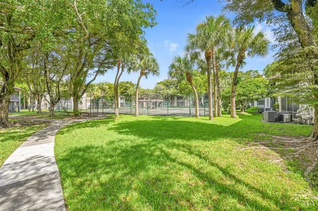a view of a park with large trees