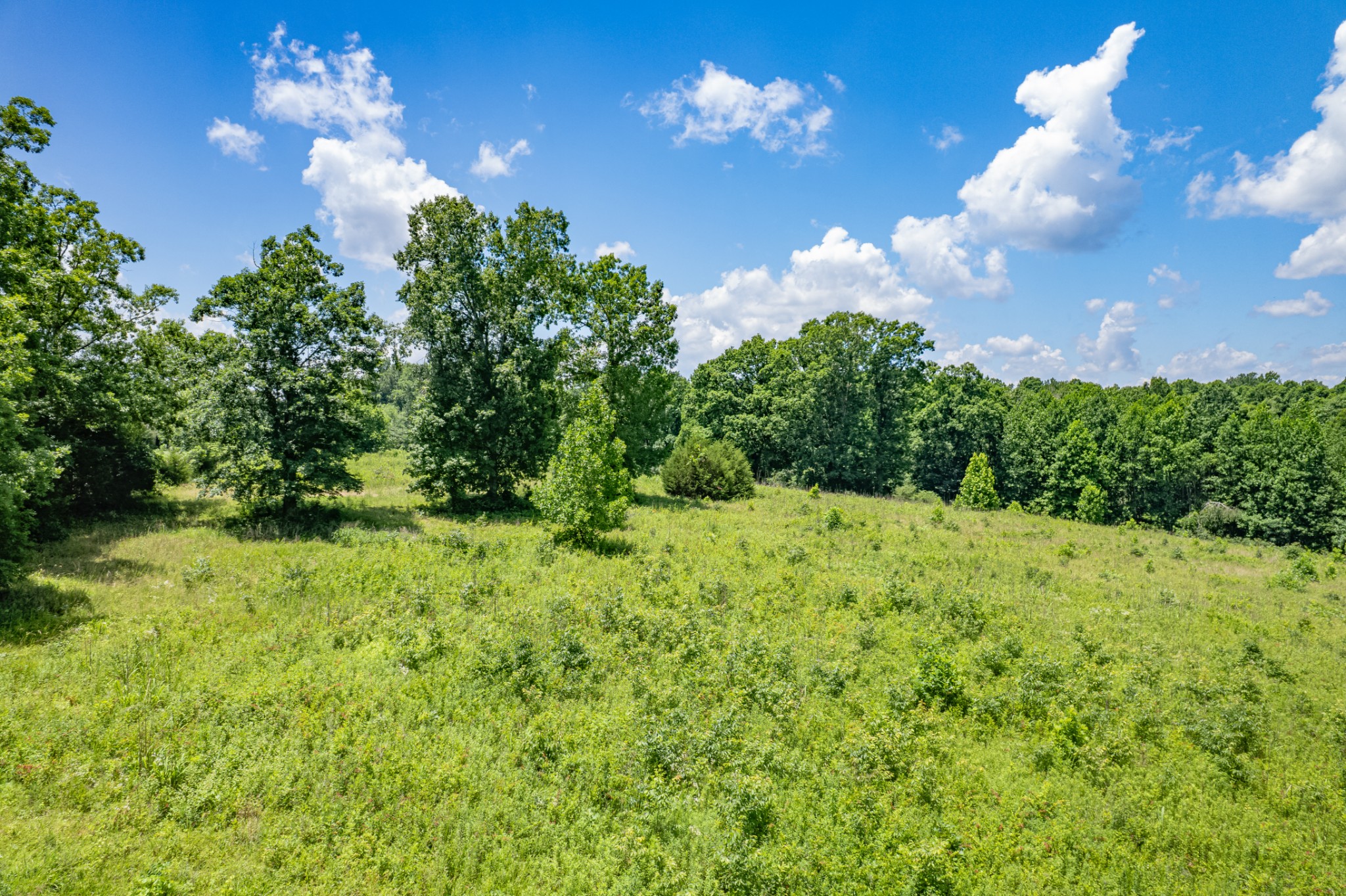 0 Mobley Ridge Road Duck River, TN 38454 - Photo 27 of 35 a view of a yard in front of a house with a large tree