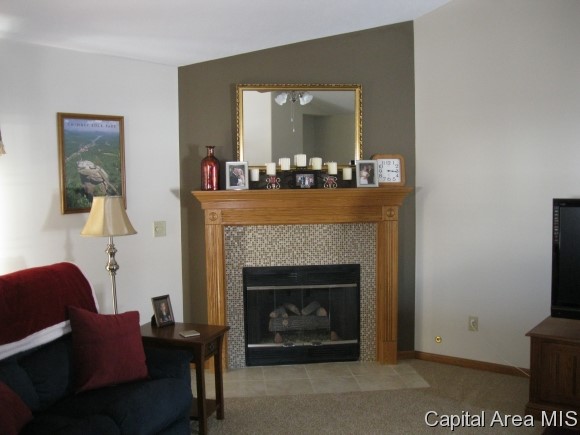 5404 Bunting Road Springfield, IL 62711 - Photo 3 of 10