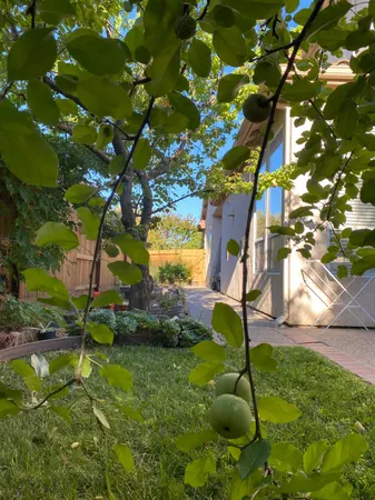 $1,298,000 | 1418 Yukon Street, Davis, CA 95616