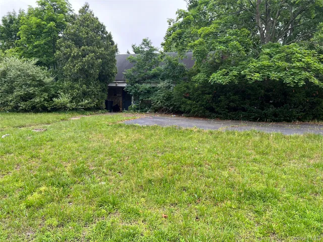 a view of a backyard with potted plants and large trees