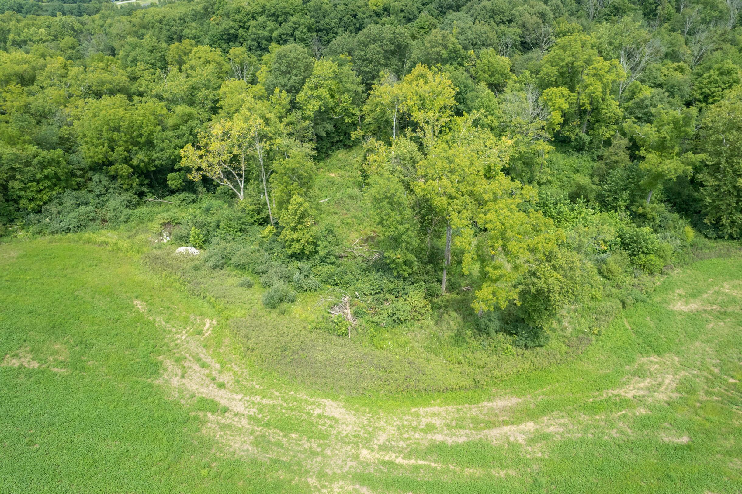 12560 Miami Trace Road Greenfield, OH 45123 - Photo 6 of 11 12560MiamiTraceRd-40Ac-6