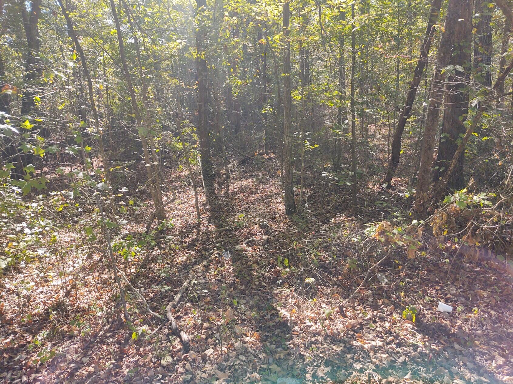 0 Joe Robertson Road LaFayette, GA 30728 - Photo 3 of 3 joe robertson 1