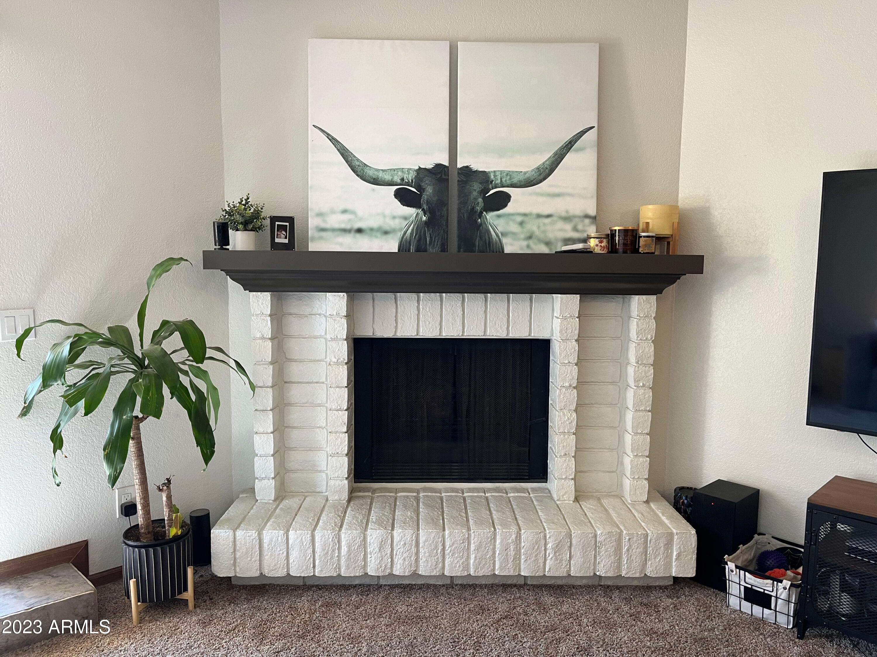 1360 East Brown Road, Unit 30 Mesa, AZ 85203 - Photo 5 of 37 Wood Burning Fireplace