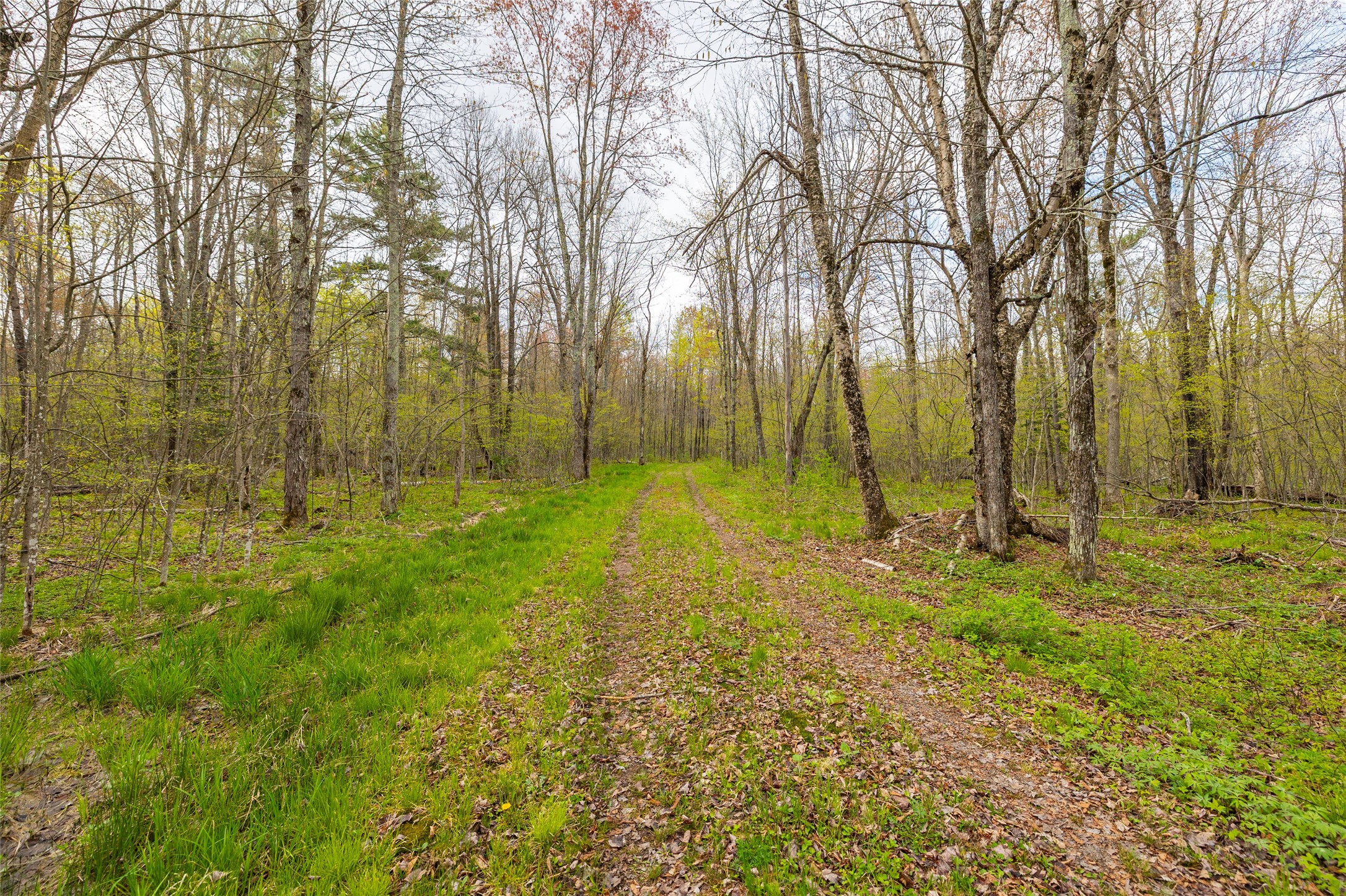 5807 Strom Road Winter, WI 54896 - Photo 12 of 45