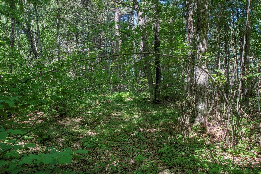 6447 Goose Road Lake Tomahawk, WI 54539 - Photo 10 of 17 Gallery Image 10