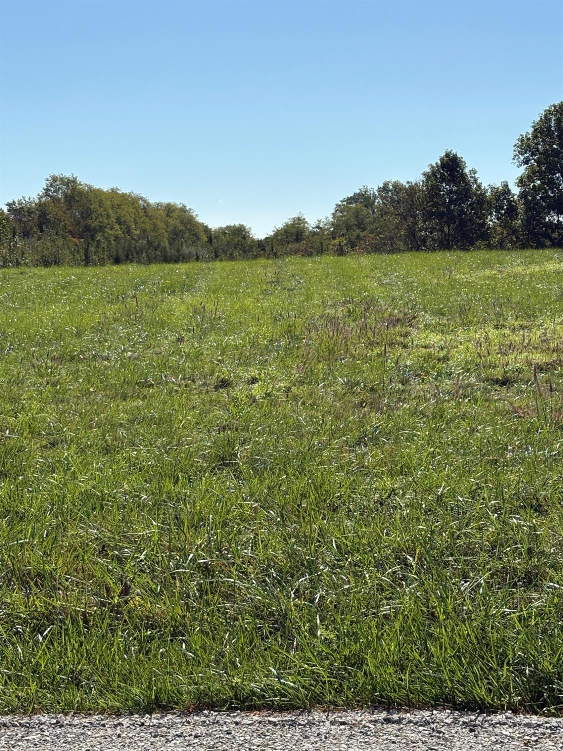 0 Soap Hill Road Aurora, IN 47001 - Photo 2 of 3