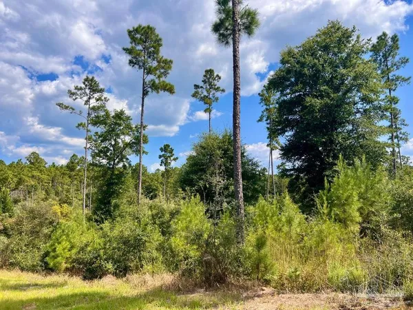 $160,000 | Lot 31 Morgans Branch, Molino, FL 32577