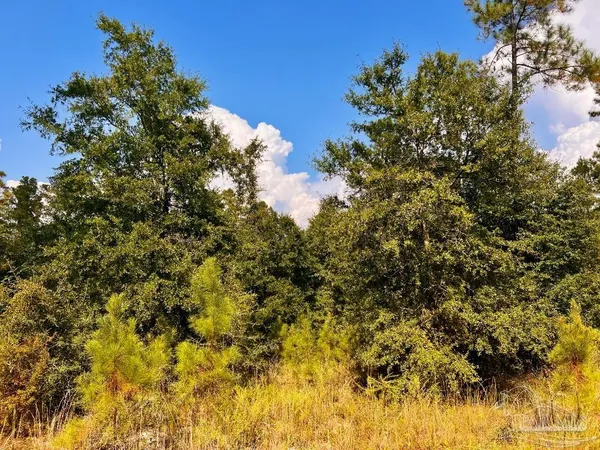 $160,000 | Lot 31 Morgans Branch, Molino, FL 32577