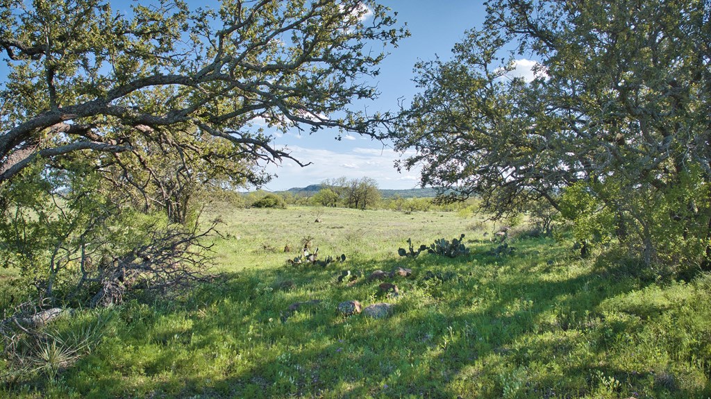 0 Hickory Grove Road Art, TX 76820 - Photo 11 of 18