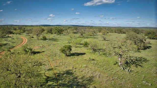 a view of a field of grass and trees