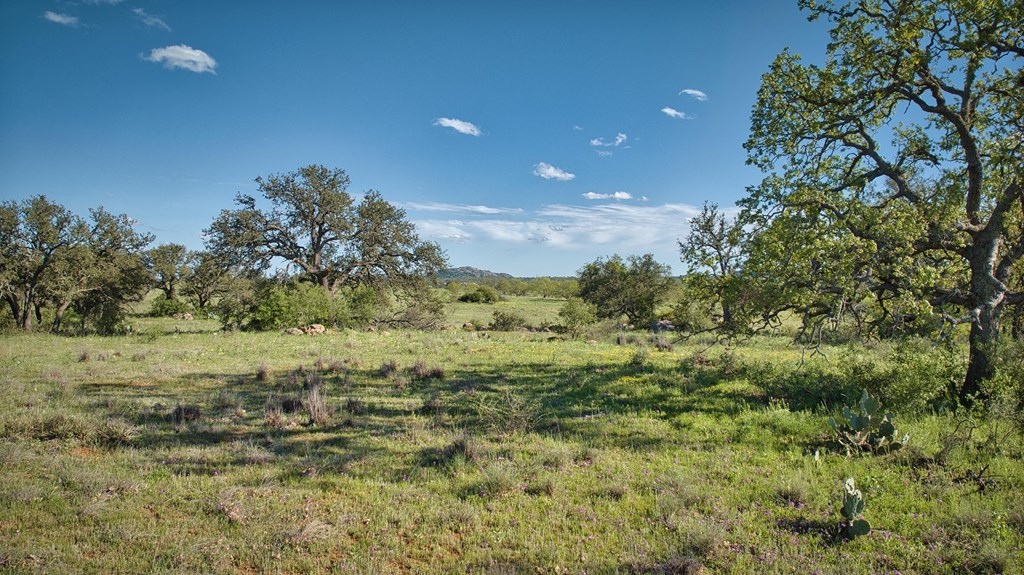 0 Hickory Grove Road Art, TX 76820 - Photo 15 of 18