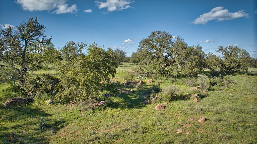 0 Hickory Grove Road Art, TX 76820 - Photo 17 of 18