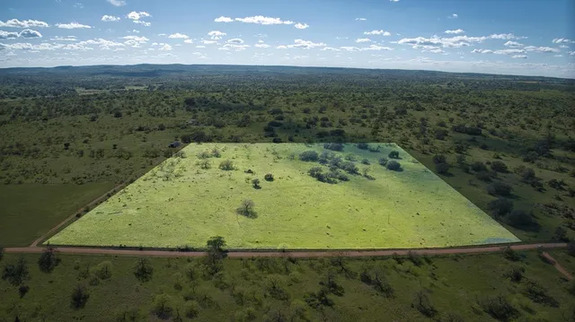 a view of a big yard