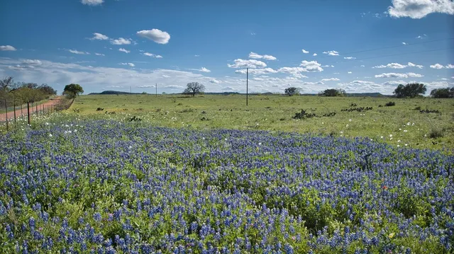a view of lake and mountain