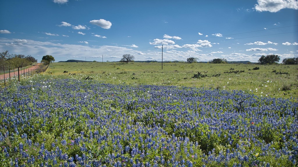 0 Hickory Grove Road Art, TX 76820 - Photo 6 of 18
