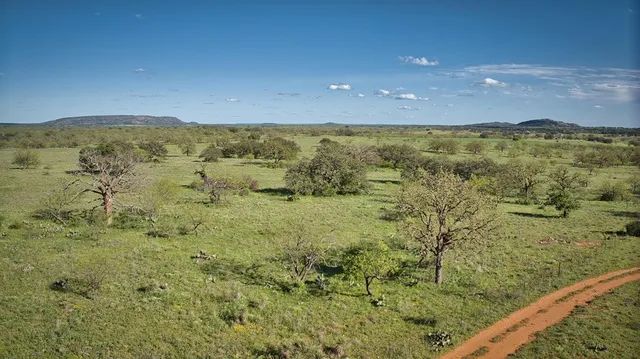 a view of an outdoor space and a yard