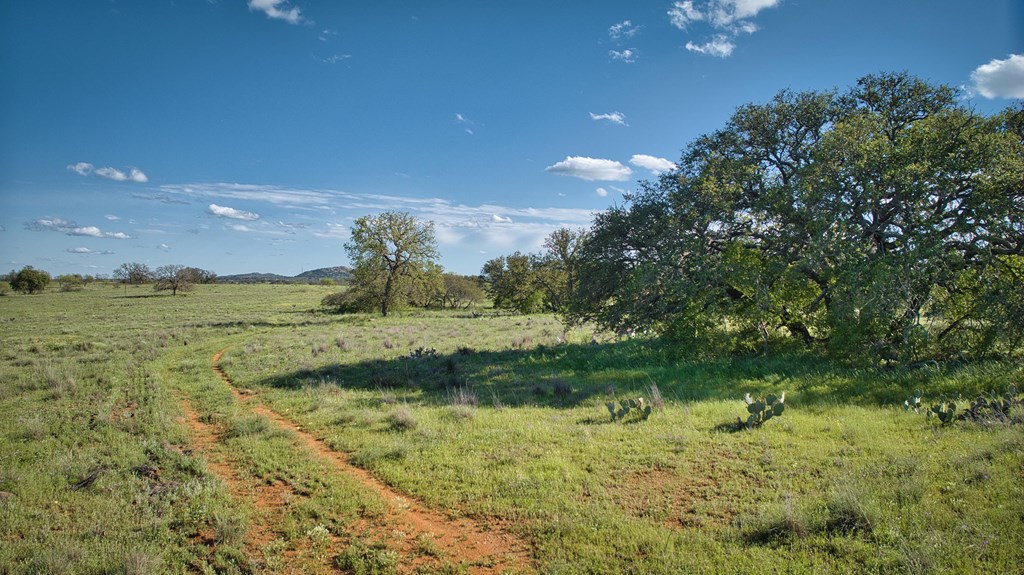 0 Hickory Grove Road Art, TX 76820 - Photo 10 of 18