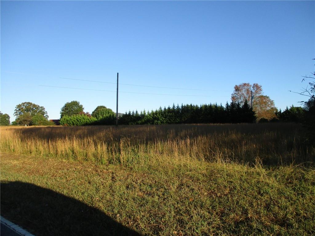 784 Damascus Church Road Hiddenite, NC 28636 - Photo 30 of 33