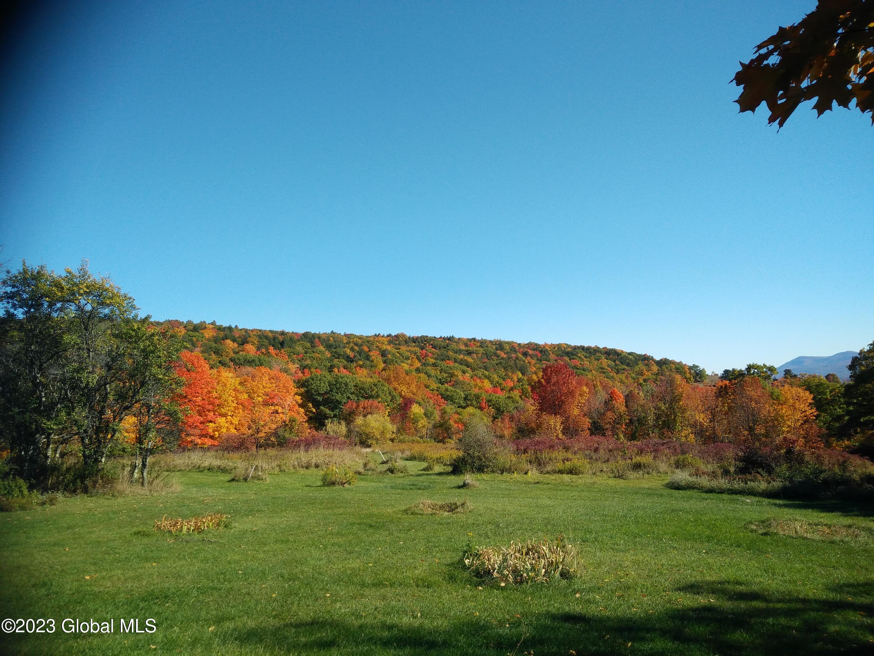 240 Smith Road Rensselaerville, NY 12469 - Photo 36 of 58 viewautumn1