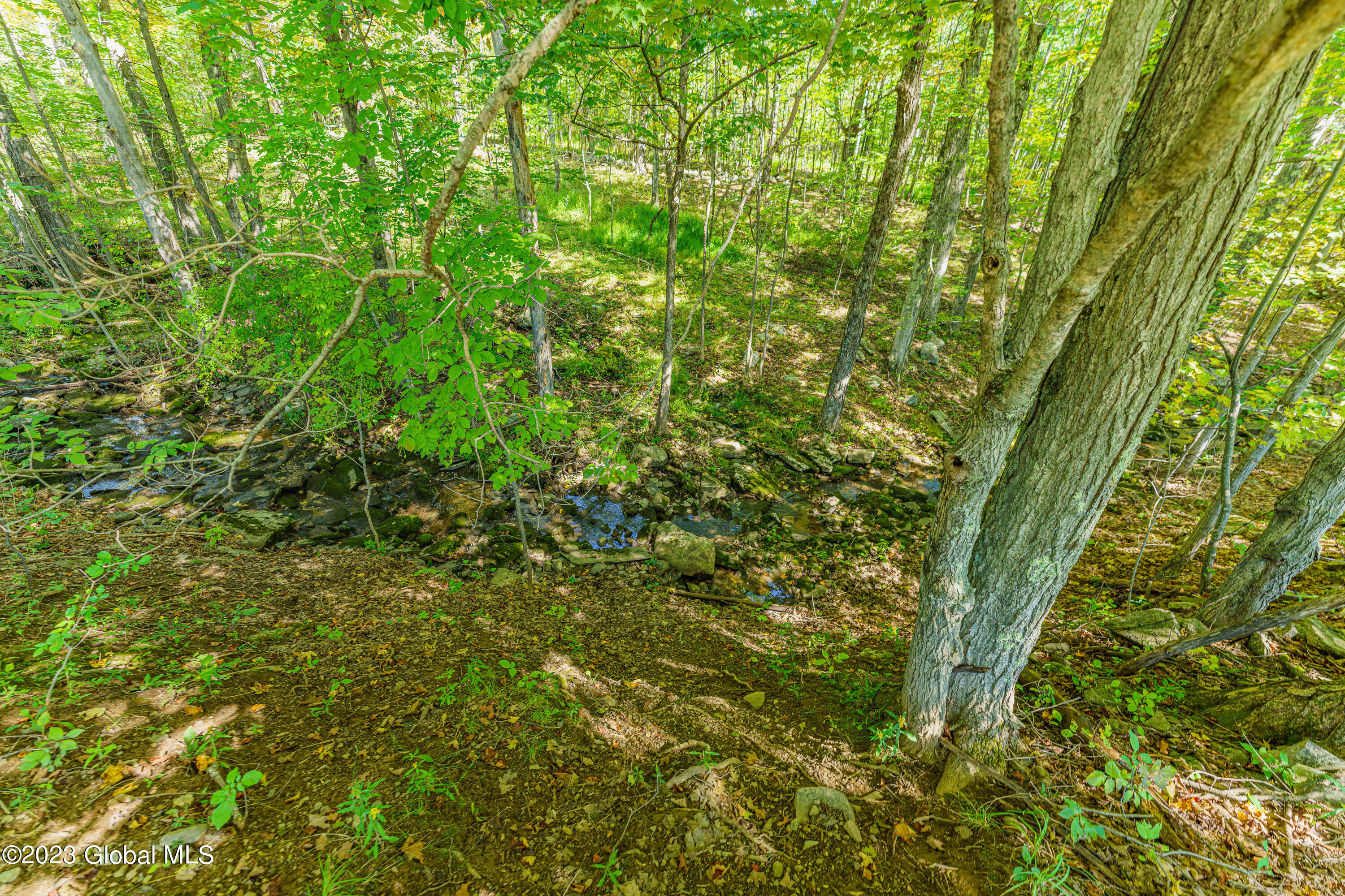 240 Smith Road Rensselaerville, NY 12469 - Photo 39 of 58 1 Ground Outside 8