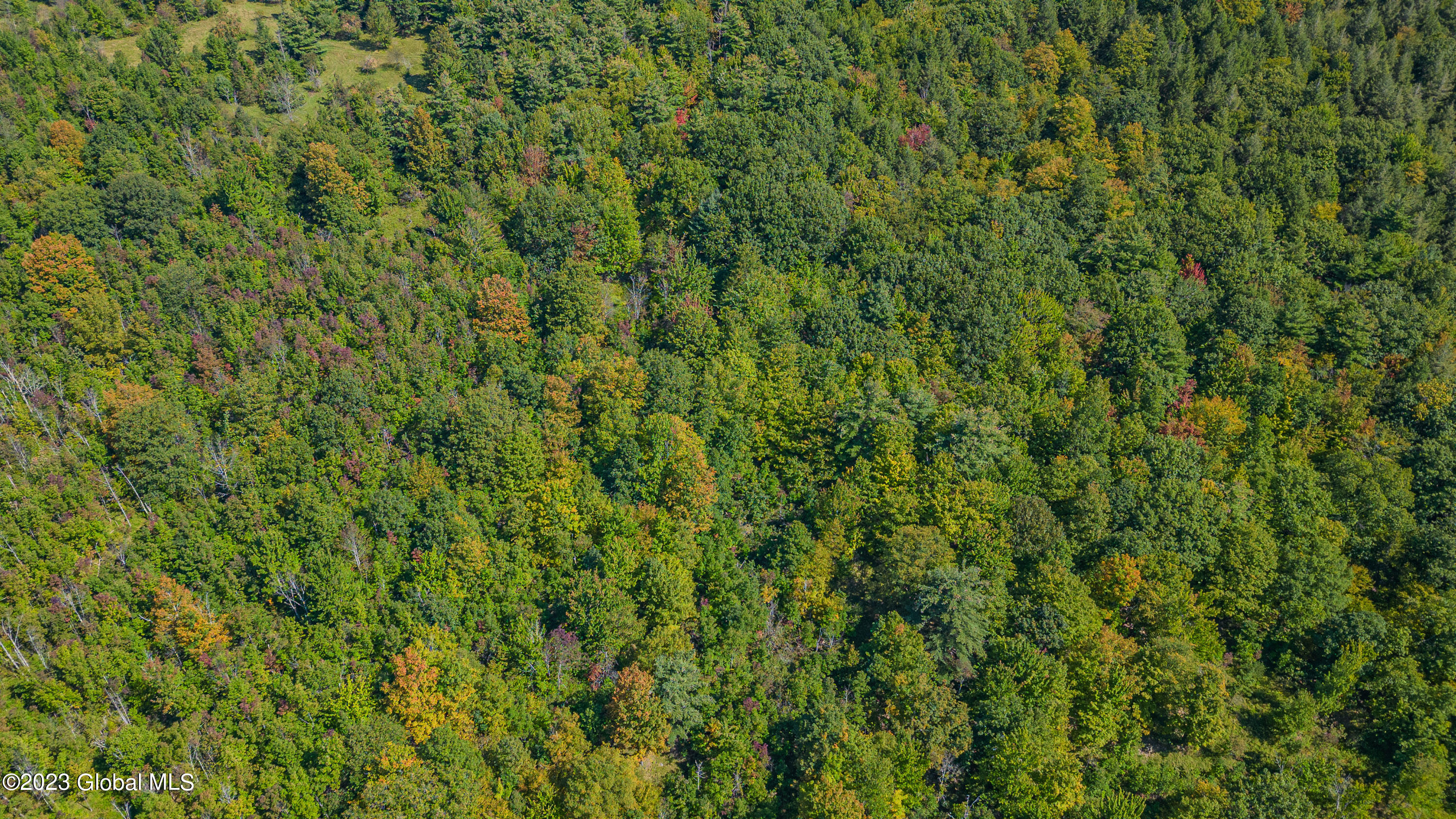 240 Smith Road Rensselaerville, NY 12469 - Photo 46 of 58 0 Air Photo 6
