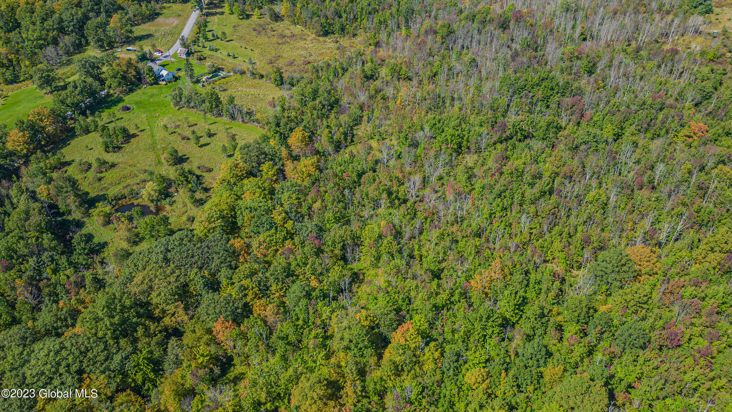 240 Smith Road Rensselaerville, NY 12469 - Photo 47 of 58 0 Air Photo 7