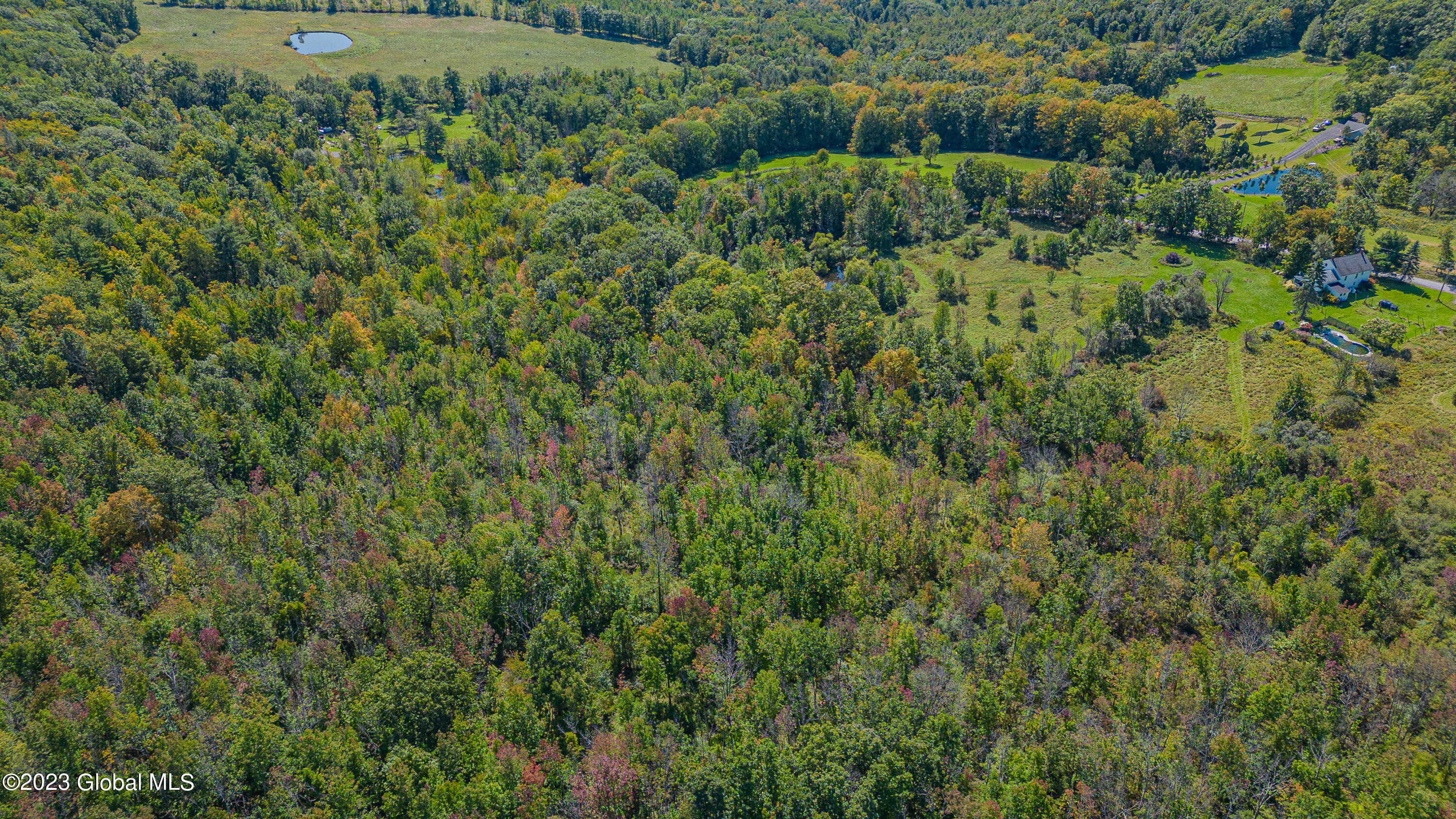 240 Smith Road Rensselaerville, NY 12469 - Photo 49 of 58 0 Air Photo 9